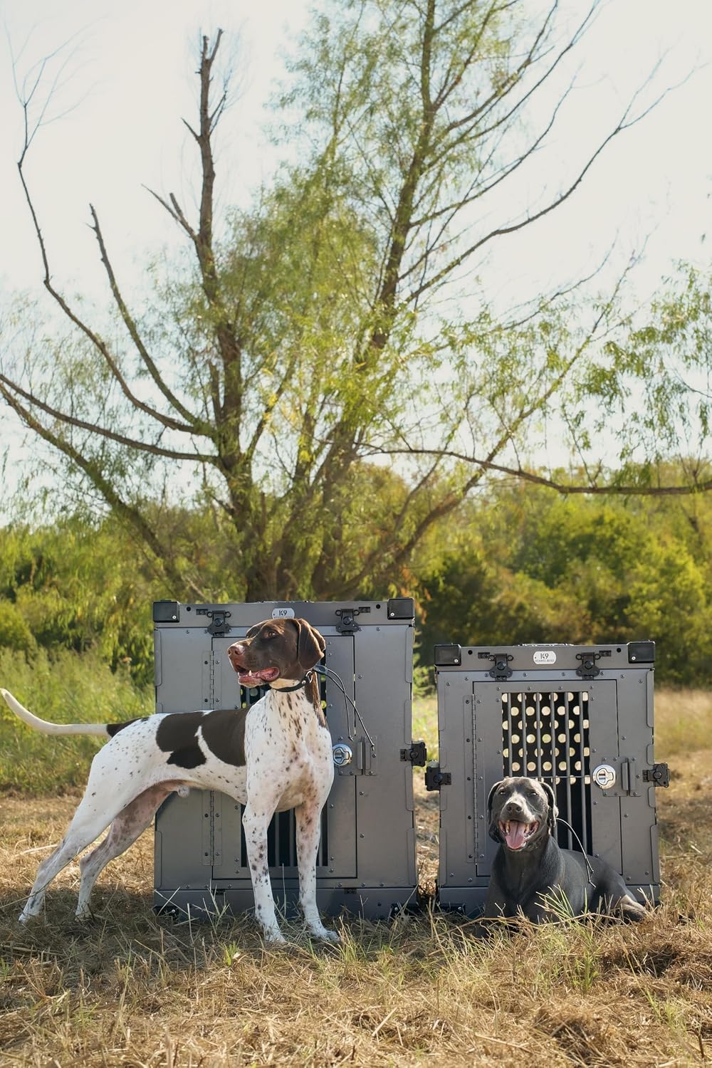 K9 Kennel Boss Aluminum Collapsible Dog Crate, Heavy Duty Folding Kennel - Large (Gray) - Image 3