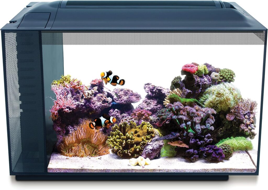 Aquarium Starter Kits