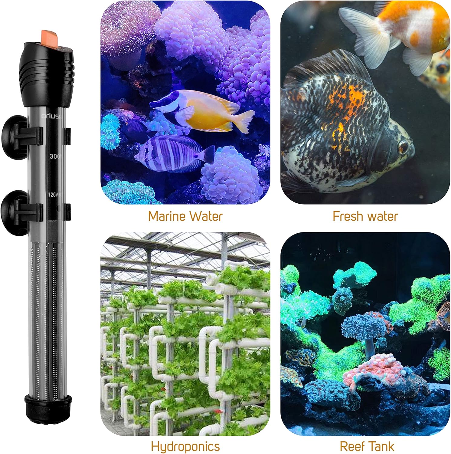 Orlushy Submersible Aquarium Heater, Adjustable Fish Tahk Heater with Free Thermometer Suitable for Marine Saltwater and Freshwater - Image 4