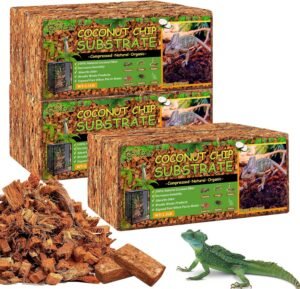 Riare 6 Pack Natural Coconut Chip S...