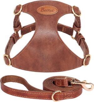 Beirui Small Dog Harness and Leash ...