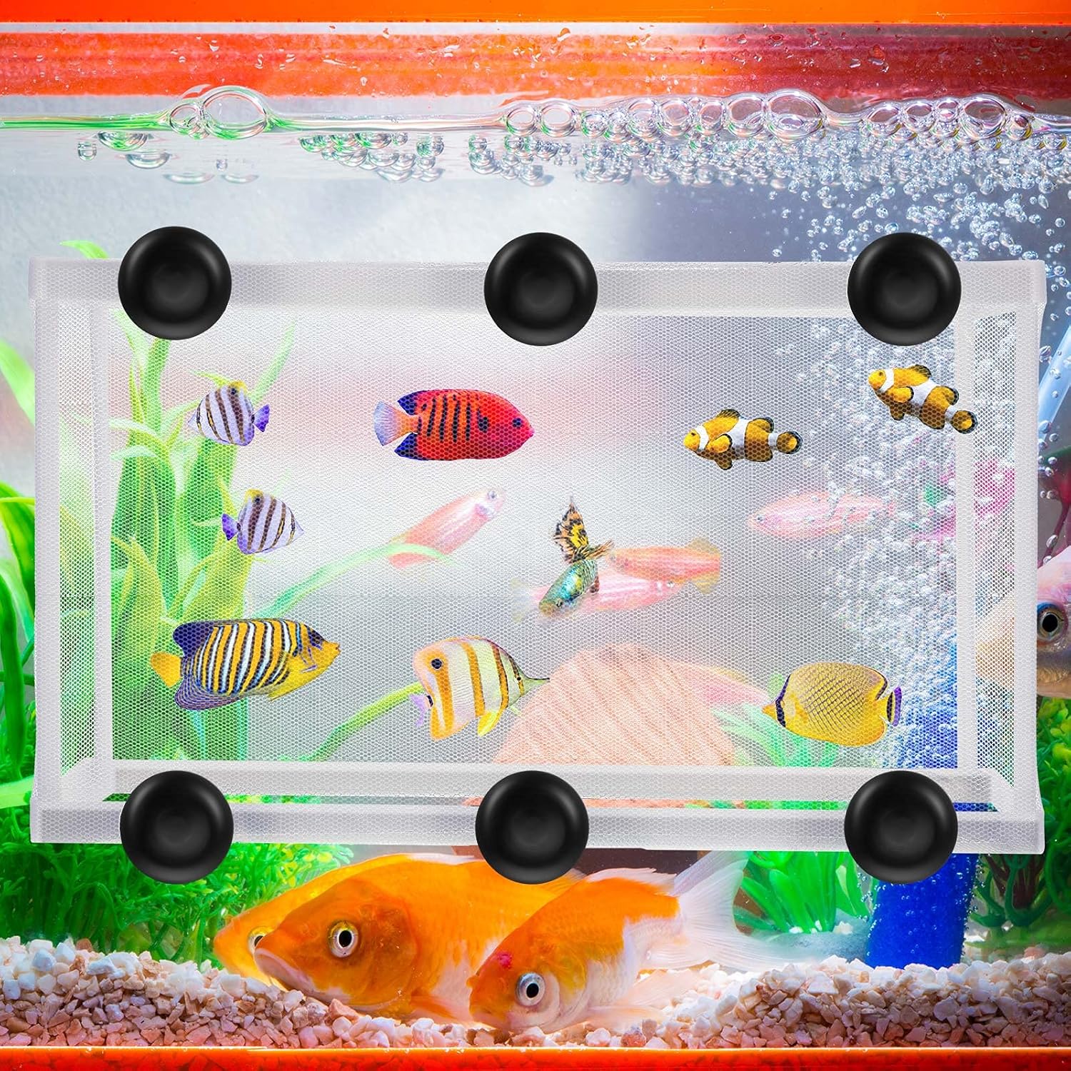 2 Pieces Fish Tank Breeder Net Mesh Breeder Box Fish Hatchery Isolation Separation Net Plastic Frame Fry Hatchery Incubator Mesh Breeding Box with Suction Cup for Aquarium - Image 4