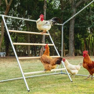 PETSFIT Square Chicken Roosting Per...