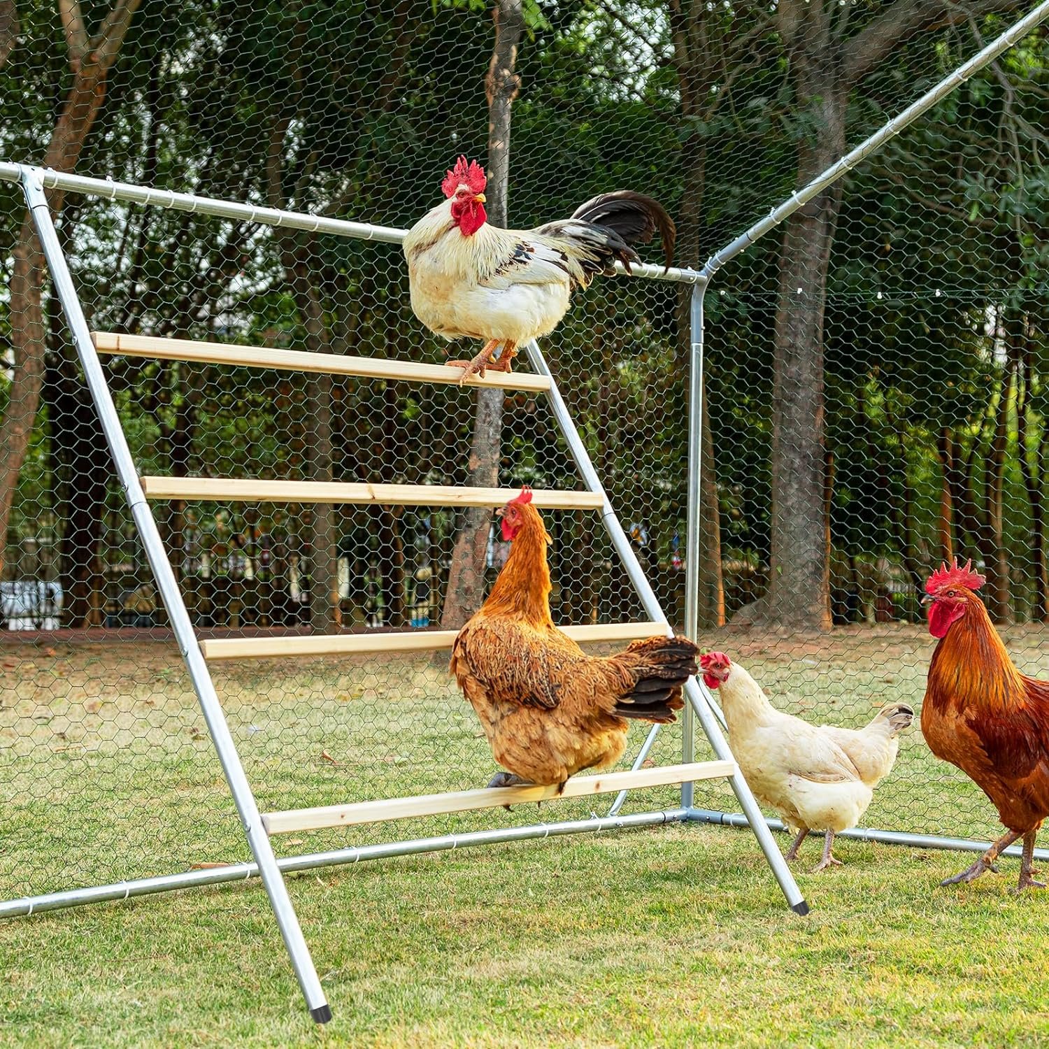 PETSFIT Square Chicken Roosting Per...