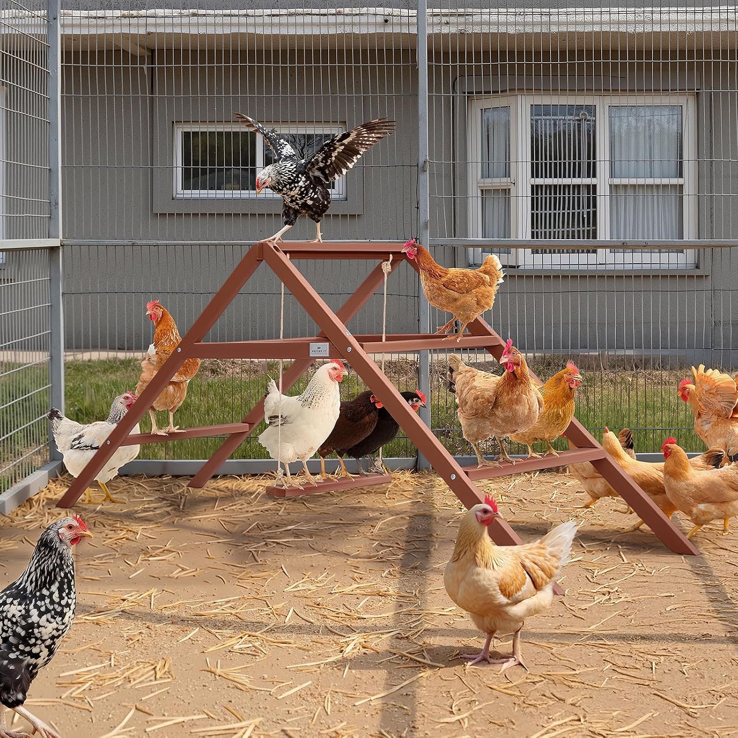 PETSFIT Wooden Chicken Roosting Bars for 10-12 Chickens, Easy Assembly | Solid Fir Wood,Chicken Perch for Outdoor Coops,Backyard Farms ,3-Layers Design with Swing,Promotes Healthy,Easy to Clean - Image 8