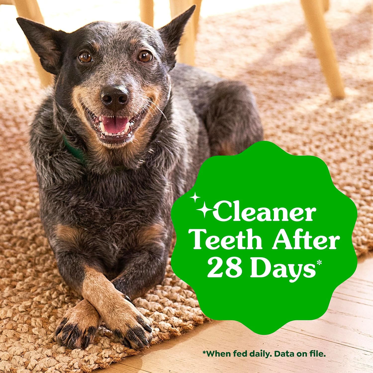 Greenies Teenie Original Natural Dental Dog Treats, Chicken, 43 Count | Clinically-proven, veterinarian-recommended, 47% less tartar & 40% less plaque in 28 days, for dogs 5-15 lbs, 12 oz. Pack - Image 5