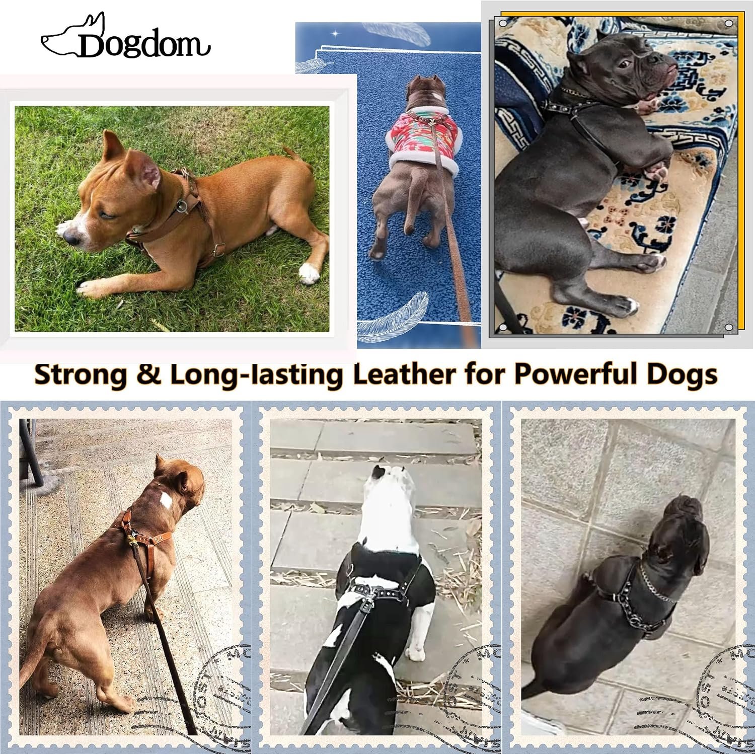 Genuine Leather Dog Harness – Adjustable No Pull Harness with Soft Padded Chest, Heavy Duty Buckle, Brown, Medium Dogs - Image 7