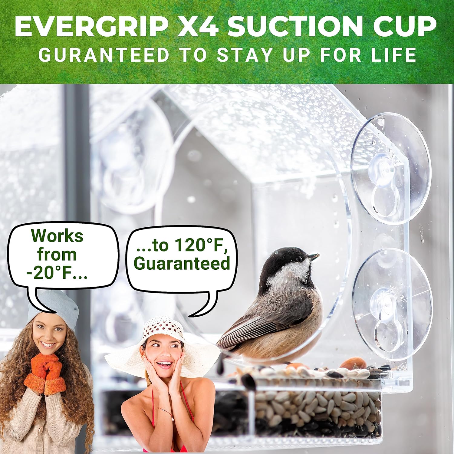 Nature Anywhere Window Bird Feeder - Weather Proof Transparent Acrylic Bird Feeders for Outdoors - Enhanced Suction Grip, Bird Watching for Cats, Easy-to-Clean, Outdoor Birdhouse Feeder (1 Unit) - Image 5