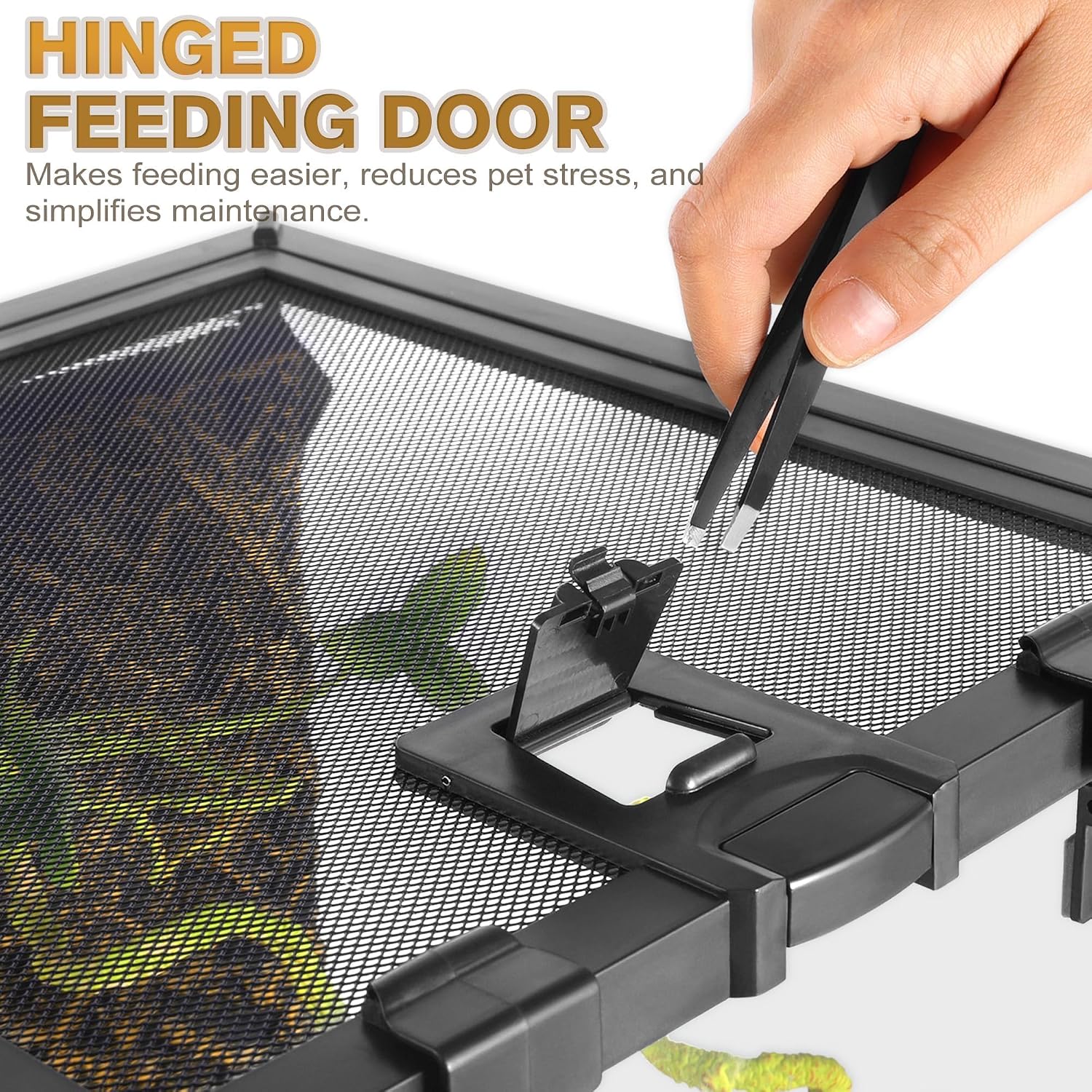 20"x12"x10" Reptile Terrarium, Escape-Proof Glass Terrestrial Vivarium for Small Desert Reptiles Such as Leopard Geckos, with Escape-Proof Lock & Feeding Hatch - Image 3