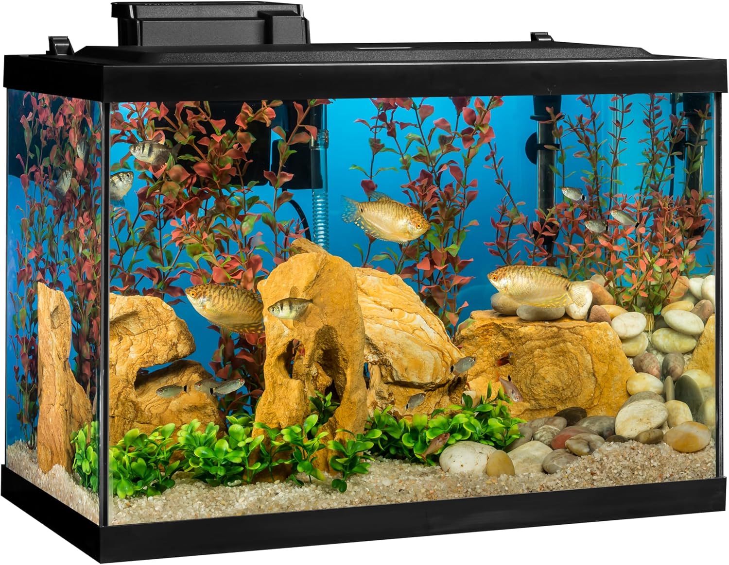 Tetra Aquarium, 20 Gallon, Complete Tropical Fish Tank Kit With LED Lighting And Decor For Freshwater Fish - Image 2
