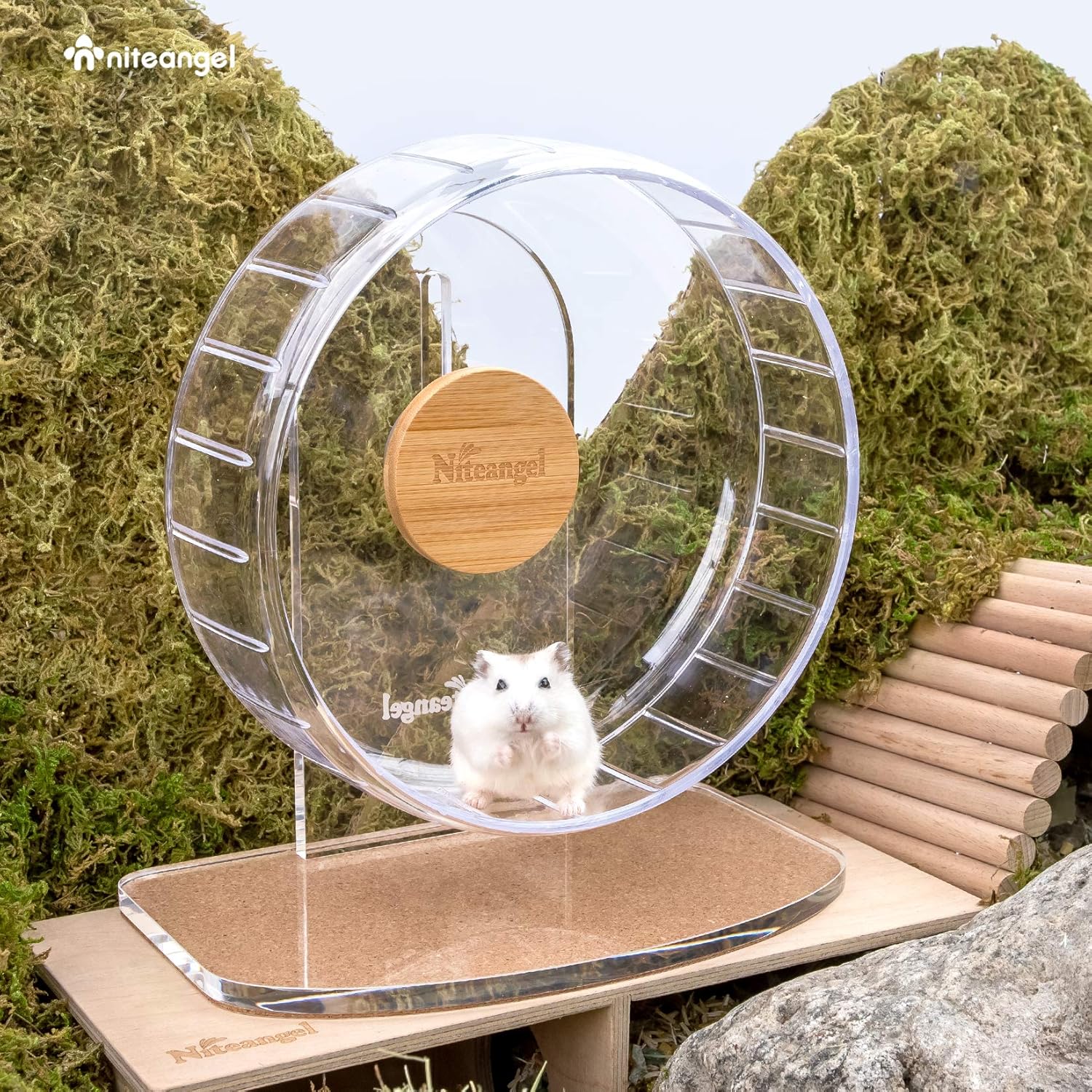 Niteangel Super-Silent Hamster Exercise Wheel: Quiet 8.2 inch Running Wheel | Can 9.1-11.8" Adjustable Height - No Bend Back Spinner Running for Dwarf Syrian Hamster Gerbils Mice Or Other Small Animal - Image 4