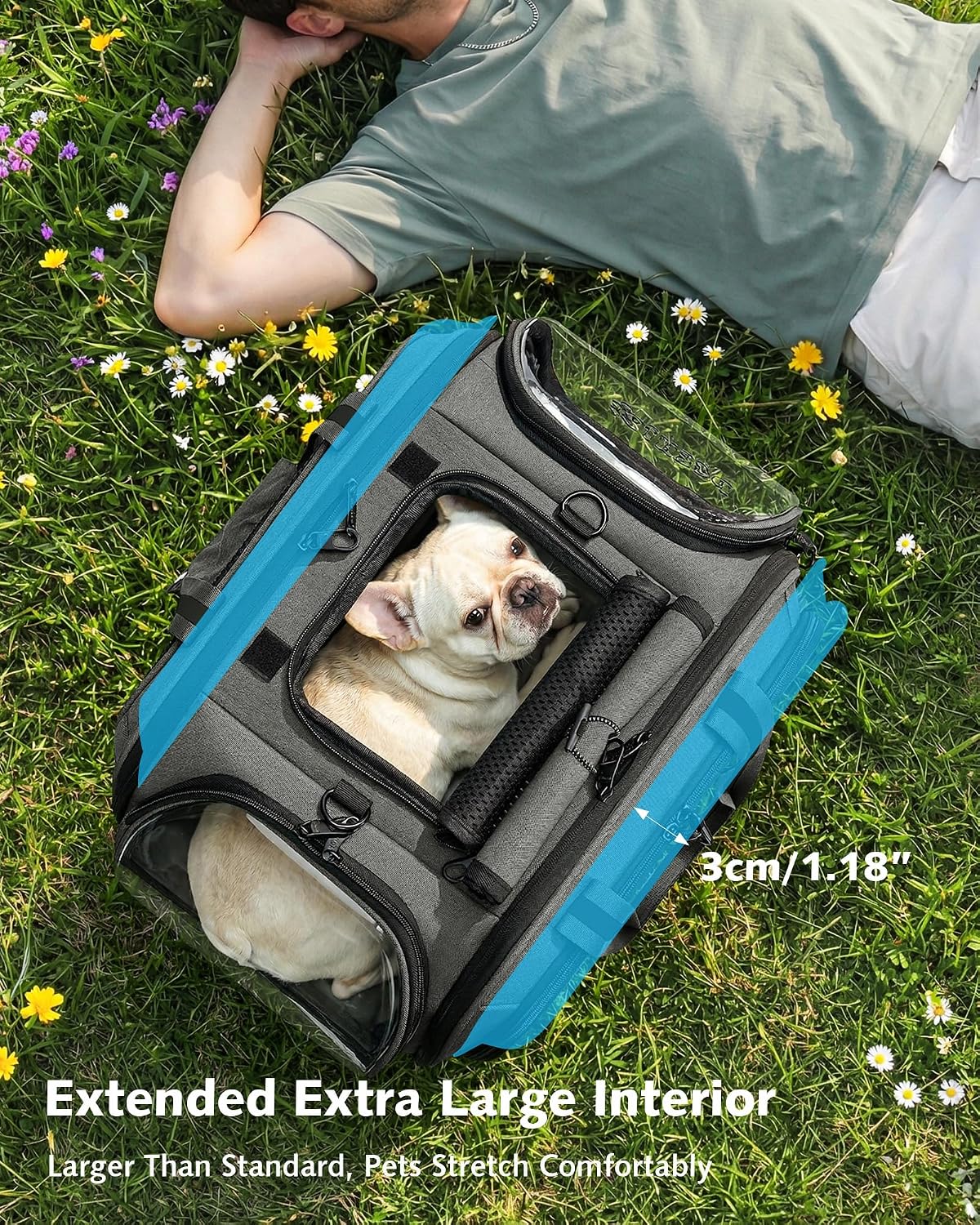 Pecute Cat Carrier with Bubble Window & Sunshade for Dogs Cats, Gray XL | Dual bubble windows & top sunshade, 70% more airflow mesh, Impact-resistant stable frame, Locking zippers, Fits up to 20 lbs - Image 3