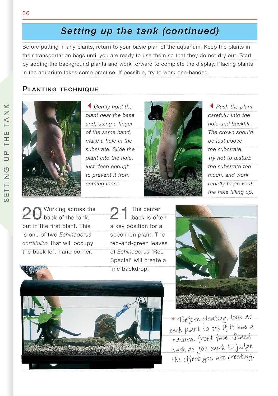 Freshwater Aquariums (CompanionHouse Books) Essential Beginner-Friendly Guide to Setting Up Your Tank, Filtration, Health, Fish, Plants, Substrates, Lighting, and More (Aquamaster) - Image 8