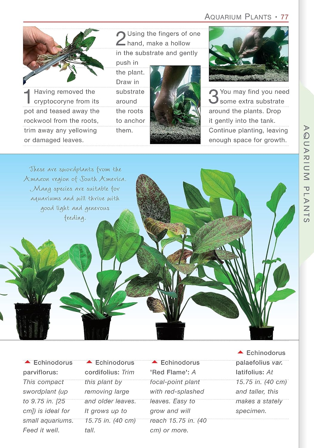 Freshwater Aquariums (CompanionHouse Books) Essential Beginner-Friendly Guide to Setting Up Your Tank, Filtration, Health, Fish, Plants, Substrates, Lighting, and More (Aquamaster) - Image 3