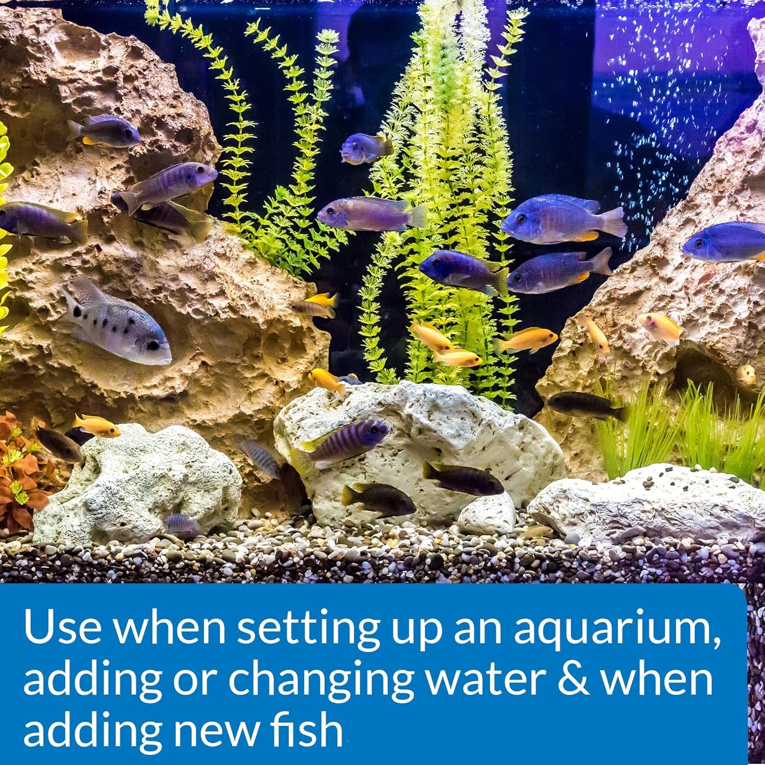 API QUICK START Freshwater and Saltwater Aquarium Nitrifying Bacteria 4-Ounce Bottle | Freshwater and Saltwater - Image 2