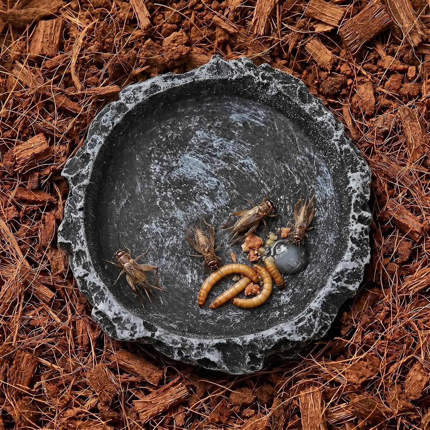 2Pcs Reptile Water Bowl, Feeding Dish for Leopard Gecko Lizard | 2 natural stone-like resin bowls. 3.3x3.3x0.8in each. For water mealworms. Easy clean, stable, for geckos lizards small pets. - Image 2