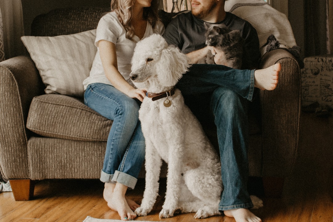 A cozy living room with a dog and a cat playing together, showcasing a harmonious pet-friendly environment.