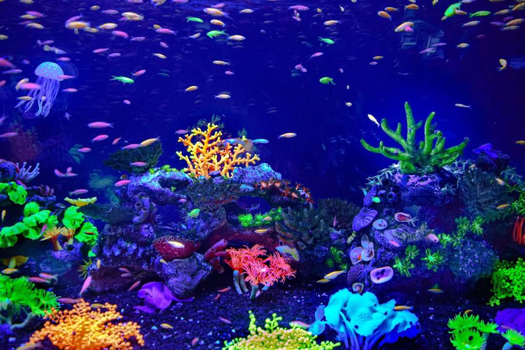 A vibrant aquarium with clear water, healthy plants, and colorful fish swimming peacefully.