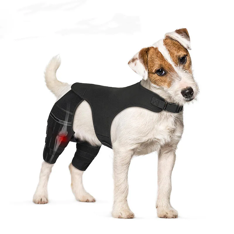 Dog Knee Braces dog leg brace for torn acl arthrosis support for dogs elbow hygroma protector Breatheable Fabric Stable Velcro