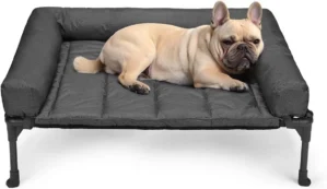 Cooling Elevated Dog Bed Add Removable Waterproof Bolster Cushion Mat, Raised Pet Cot with Breathable Teslin Mesh, No-Slip Feet, Dog Sofa Bed for Indoor Outdoor, Medium, Black CWC2331B