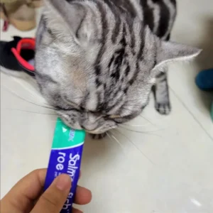 High quality Mixed Flavor 30 Strips Cat Strips Young Cat Wet Food Pack Nutrition Abalone Tuna Chicken Formula Cat Liquid Snacks