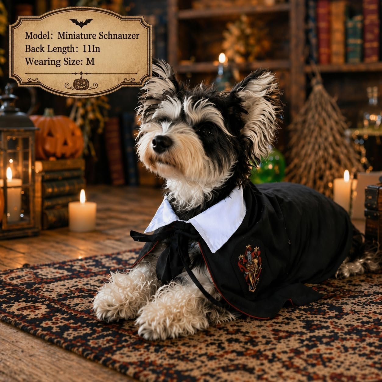 Small Dog Halloween Costumes - Adjustable Dog Cat Wizard Costume,Pet Hooded Cape Glasses Necktie Set,Puppy Kitten Halloween Costumes Boy Girl,Chihuahua Yorkie Clothes,Black Red Magician Cosplay Outfit - Image 3