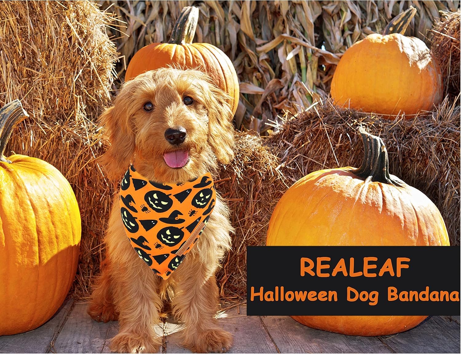 Realeaf Halloween Dog Bandanas 2 Pack, Pumpkin and Spider Web Bibs, Triangle Reversible Fall Pet Scarf, Premium Durable Fabric, Adjustable Fit (X-Large) - Image 6