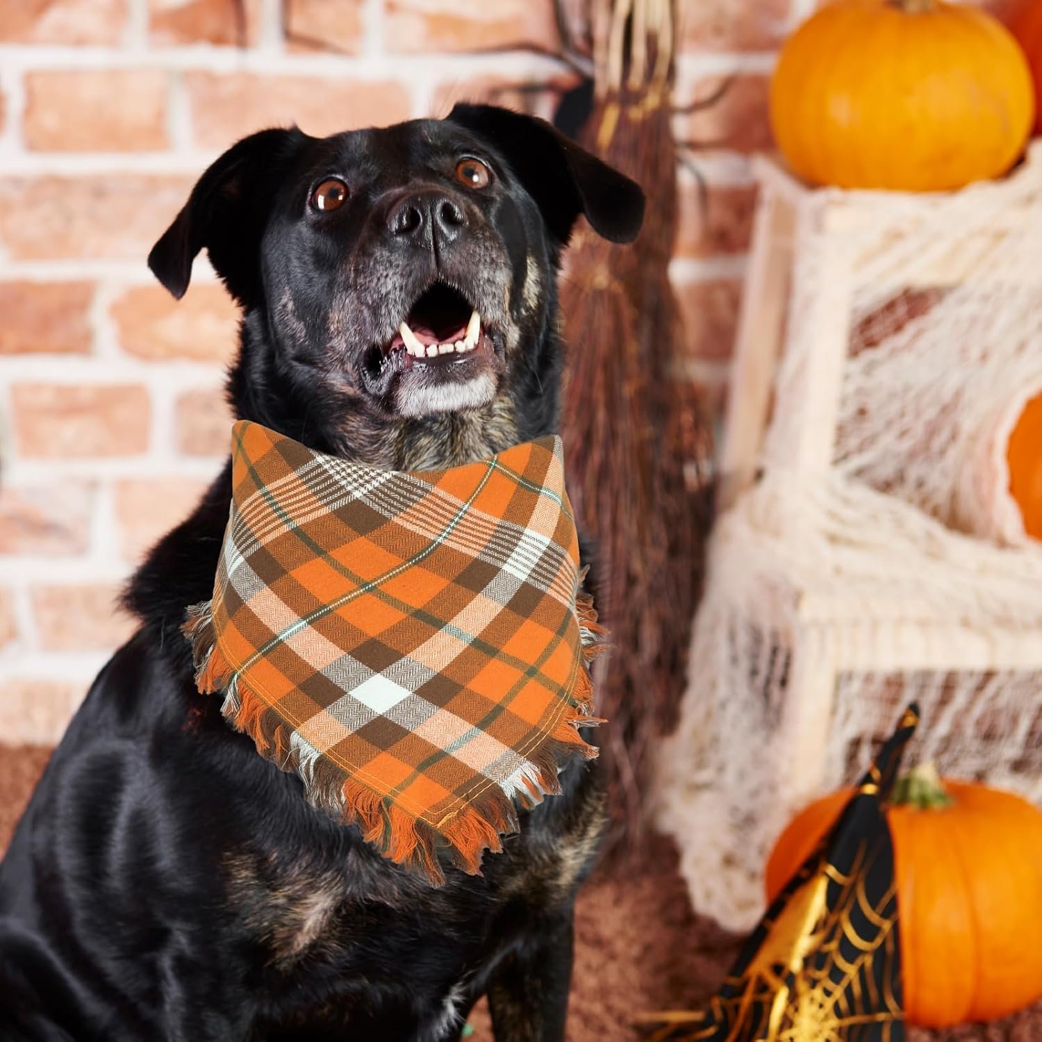 Viretec Fall Dog Bandana, Thanksgiving Autumn Dog Bandana Orange Plaid Pet Scarf for Boy and Girl, Seasonal Holiday Reversible Triangle Bibs for Medium Large Dogs and Cats - Image 6