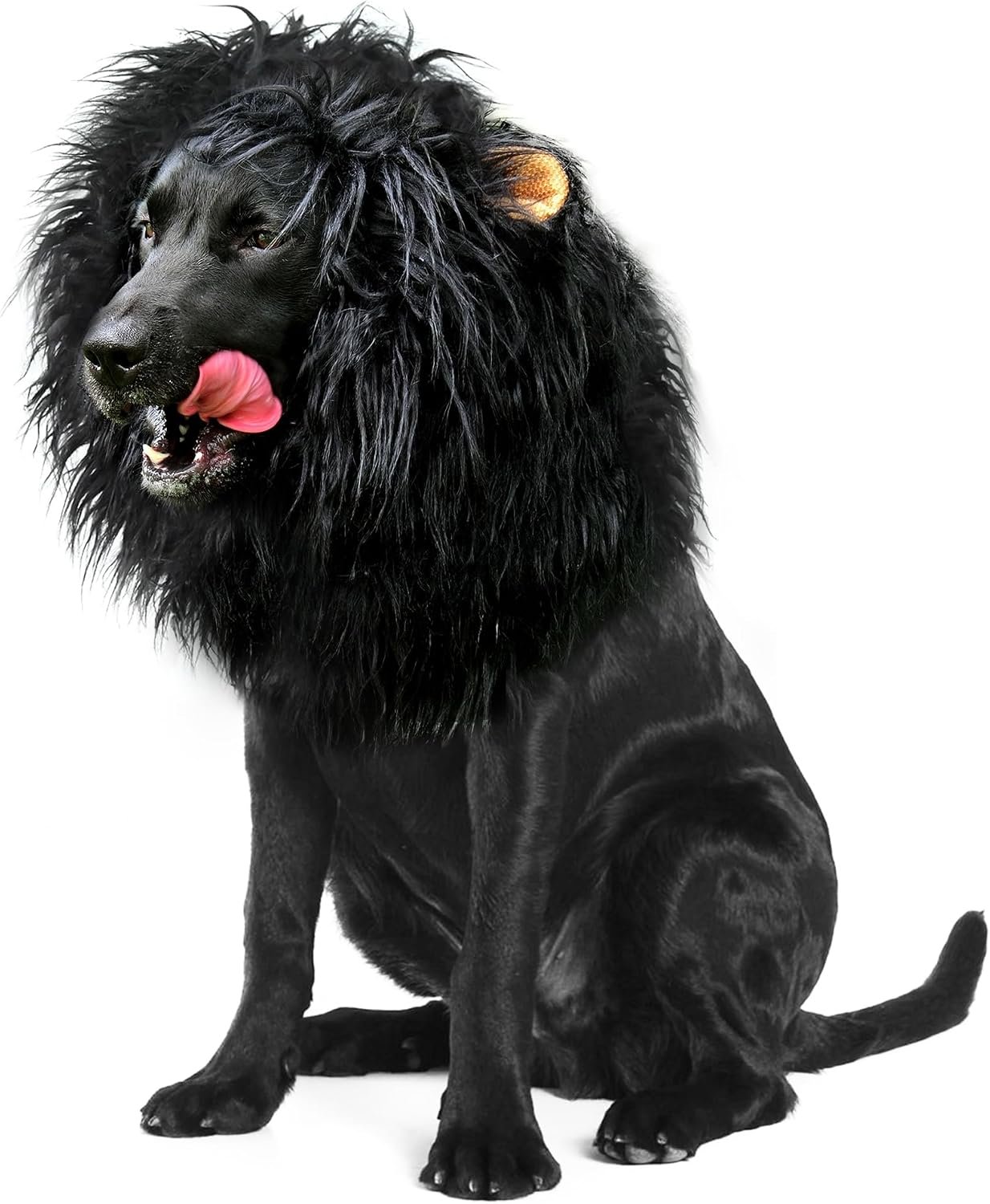 Onmygogo Lion Mane Wig for Dogs wit...