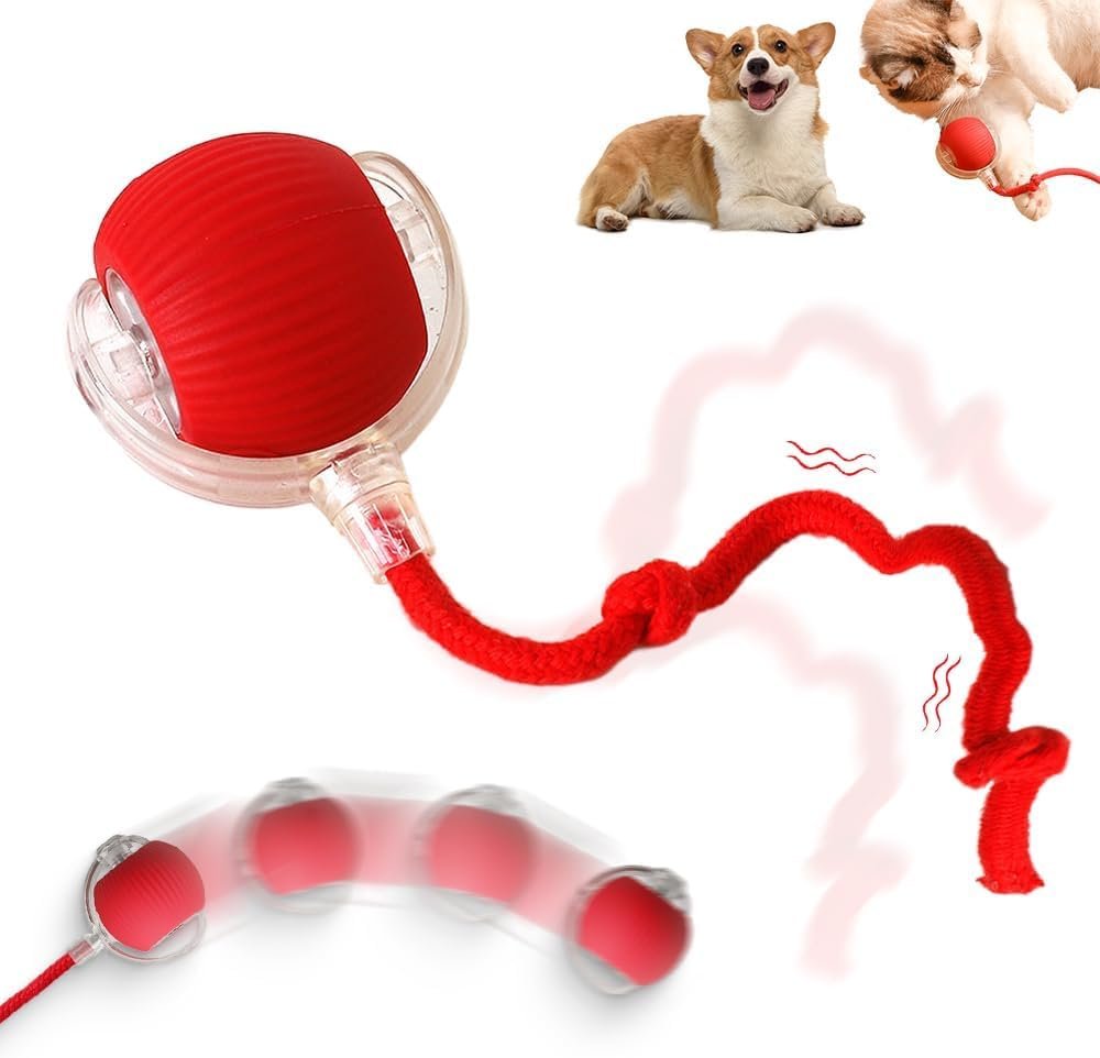 Interactive Rolling Dog Ball, 2027 ...