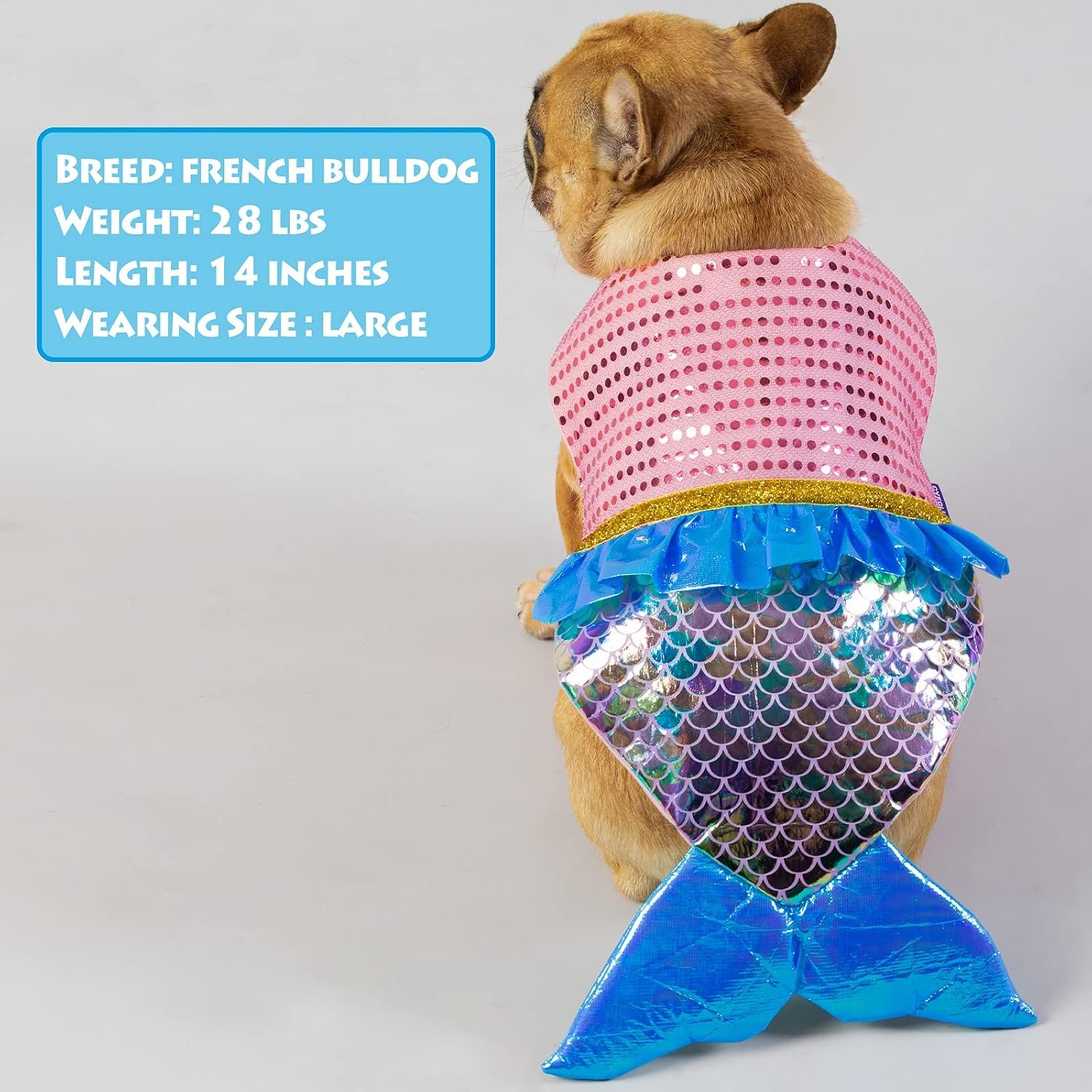 cyeollo Mermaid Dog Halloween Costumes for Large Dogs Pet Outfit, XL - Image 7
