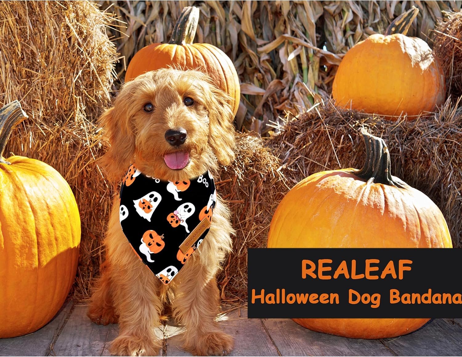Realeaf Halloween Dog Bandanas 2 Pack, Reversible Orange Pumpkin Pet Scarf for Boy and Girl, Premium Durable Fabric, Holiday Bandana for Small Medium Large and Extra Large Dogs (Large) - Image 6