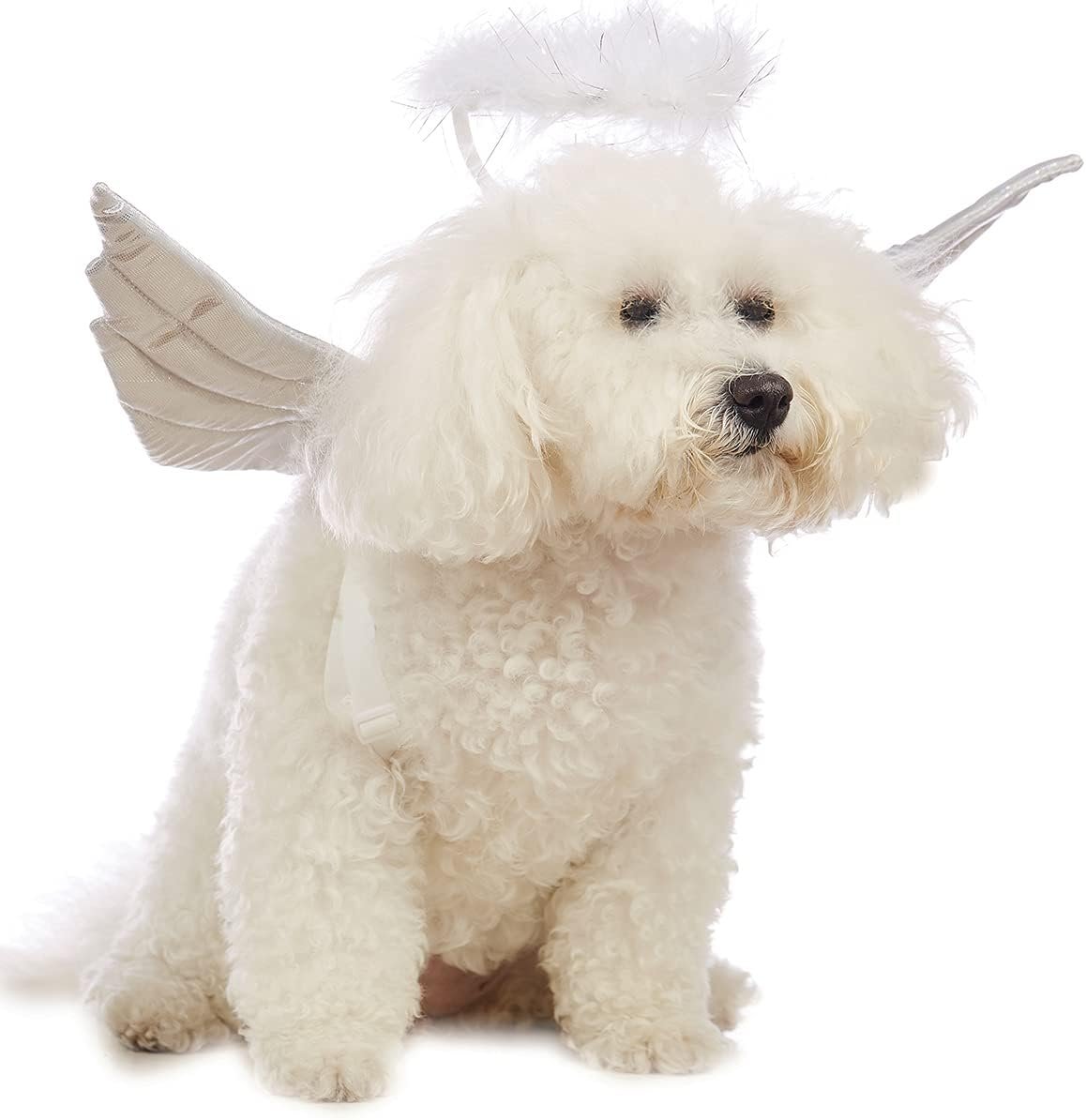 Dog Halloween Costume Pet Angel Win...