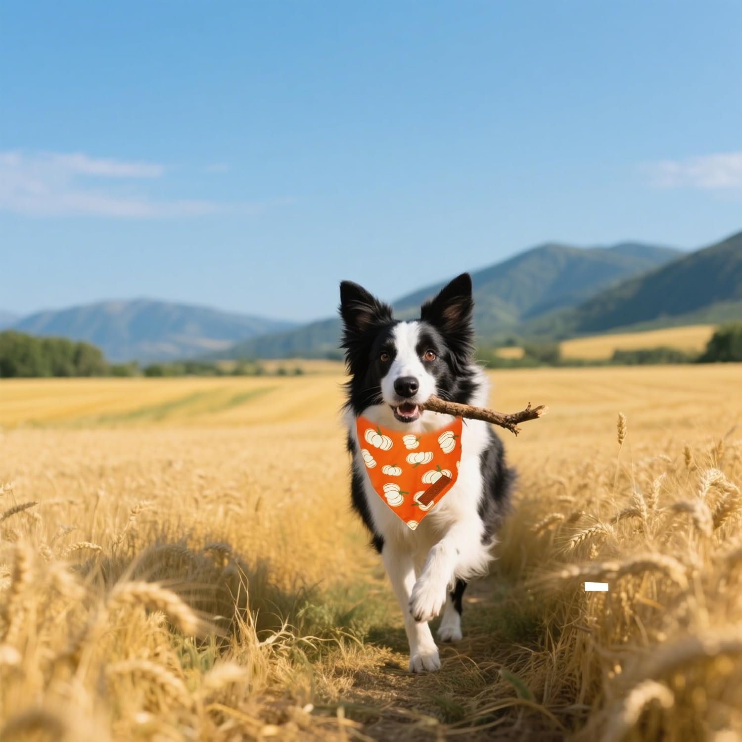 Realeaf Thanksgiving Fall Dog Bandanas 2 Pack, Orange Plaid Pumpkin Pet Scarf for Boy and Girl, Premium Durable Fabric, Holiday Halloween Bandana for Small and Medium Dogs (Fall, Small) - Image 7