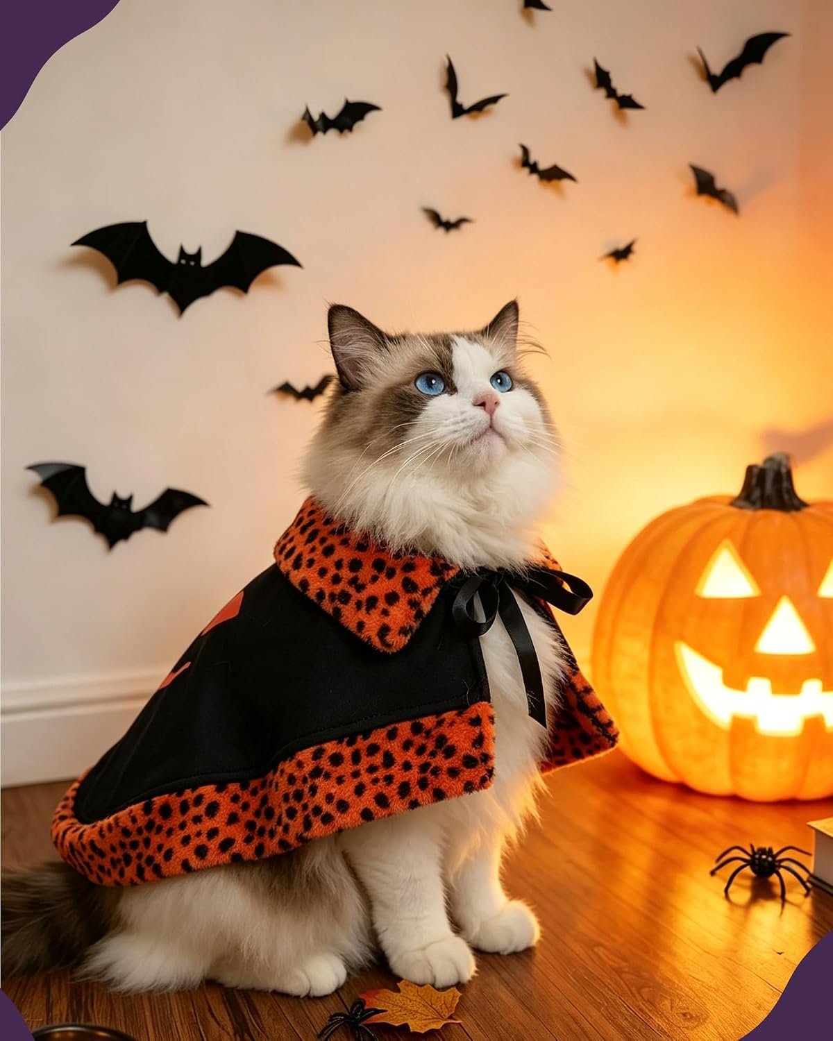 Dog Halloween Costumes, Small Dog Velvet Cloak, with Cute Halloween Pattern Funny Cape for Small Puppy and Kitten Cosplay Party.(Orange Large) - Image 2