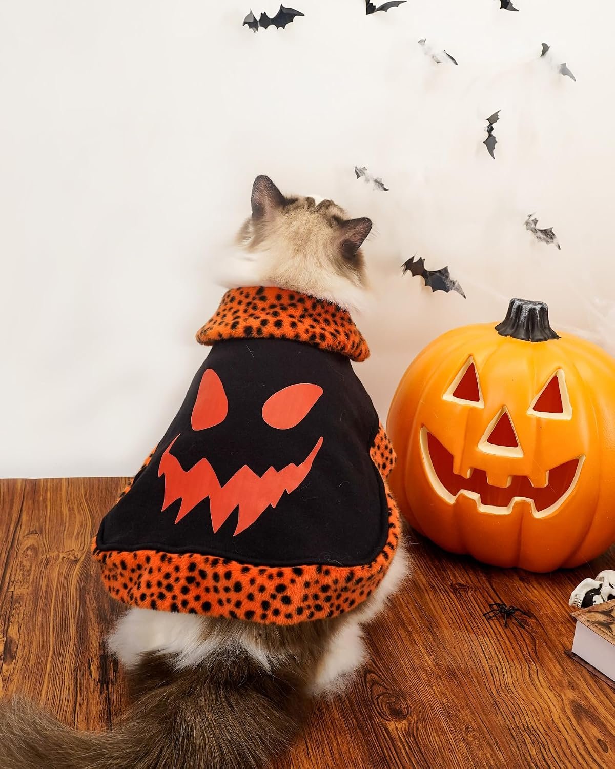 Dog Halloween Costumes, Small Dog Velvet Cloak, with Cute Halloween Pattern Funny Cape for Small Puppy and Kitten Cosplay Party.(Orange Large) - Image 8