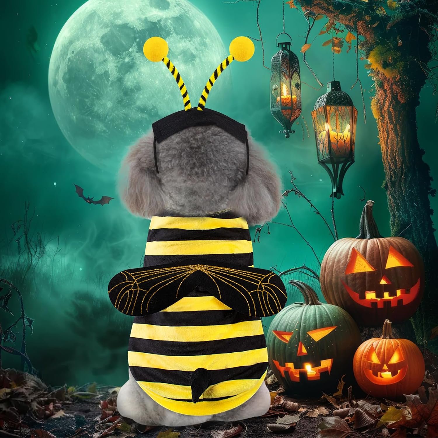 Bee Dog Costume Halloween Dog Costumes for Small Medium Dogs Cats, Bumblebee Pet Outfit with Antenna Hat Funny Pet Costumes Cosplay Clothes Christmas Birthday Party - Image 2