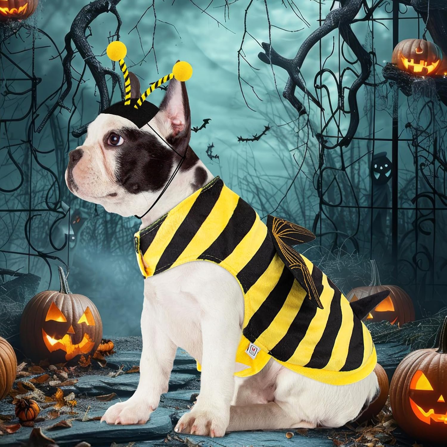 Bee Dog Costume Halloween Dog Costumes for Small Medium Dogs Cats, Bumblebee Pet Outfit with Antenna Hat Funny Pet Costumes Cosplay Clothes Christmas Birthday Party - Image 4