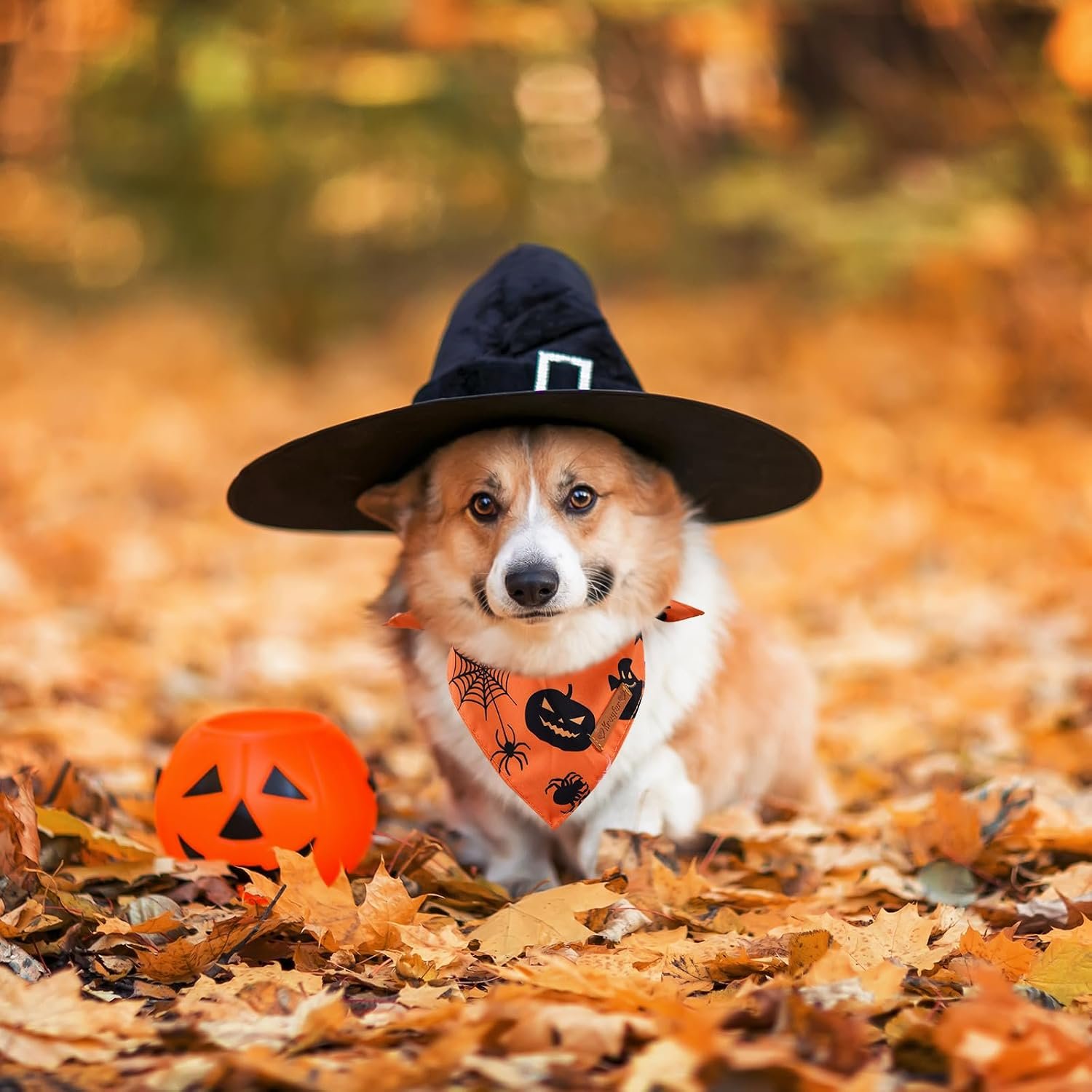 2 Pieces Halloween Dog Bandanas, Double-Sided Reversible Triangle Scarf, Cute Ghost and Pumpkin Design, Spooky Cat and Spider Pattern, Halloween Pet Costume Accessories for Dogs and Cats (Small) - Image 4