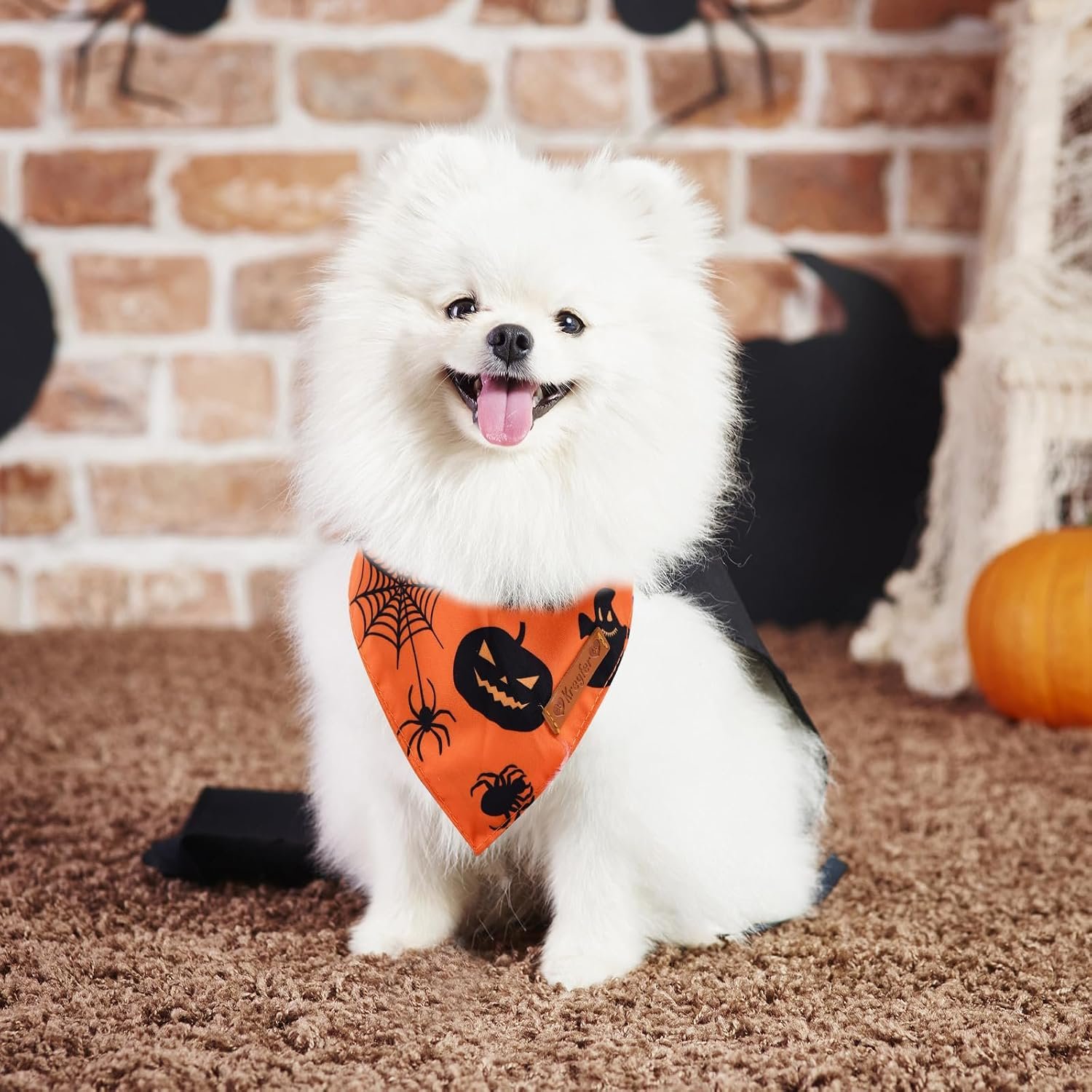2 Pieces Halloween Dog Bandanas, Double-Sided Reversible Triangle Scarf, Cute Ghost and Pumpkin Design, Spooky Cat and Spider Pattern, Halloween Pet Costume Accessories for Dogs and Cats (Small) - Image 6