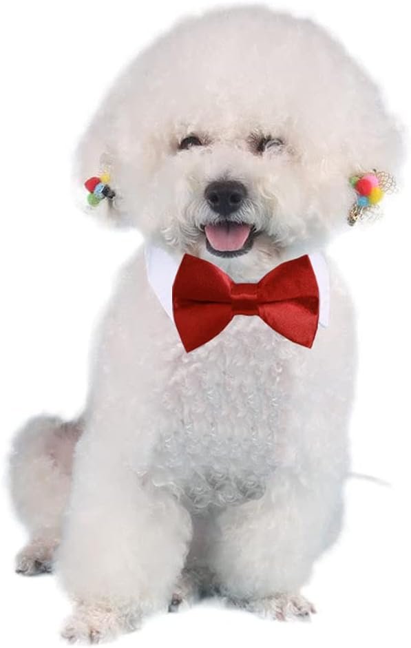 4 Pieces Pets Dog Cat Bowtie Pet Costume Adjustable Formal Necktie Collar for Cats Small Dogs Puppy Grooming Accessories Pink/Black - Image 5