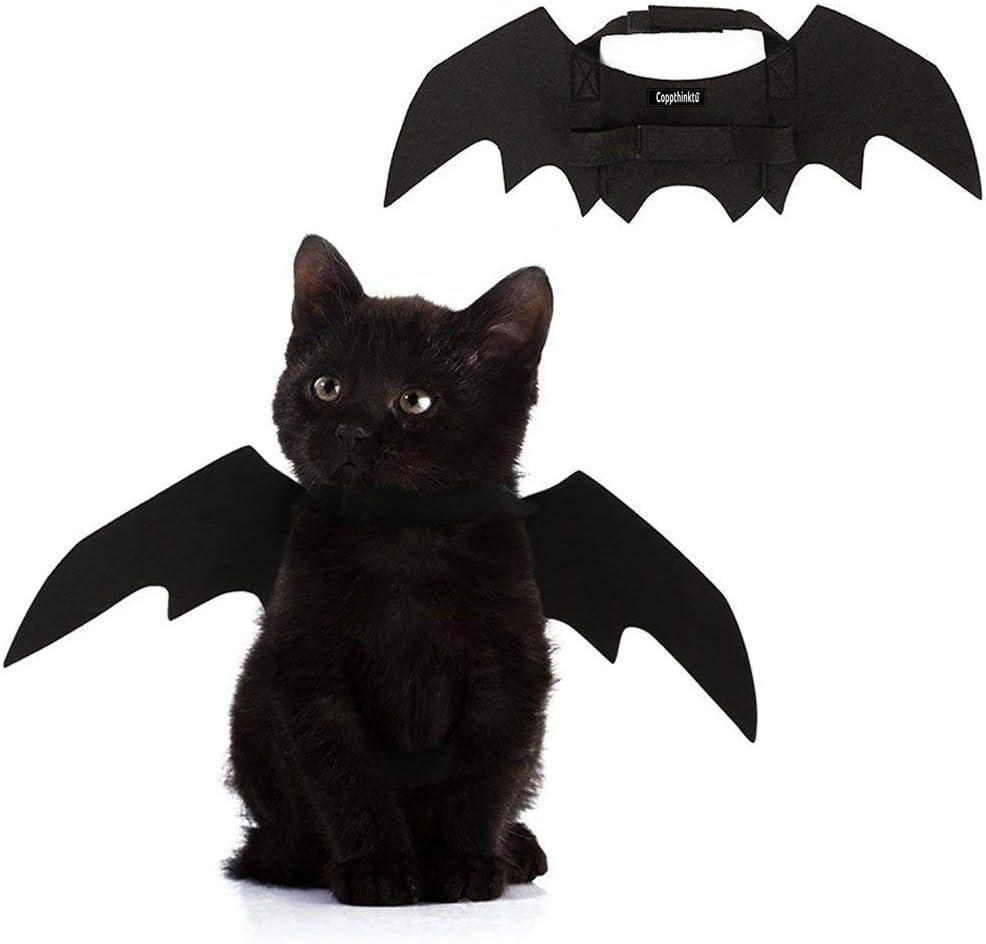 Cat Bat Wings Halloween Puppy Bat W...
