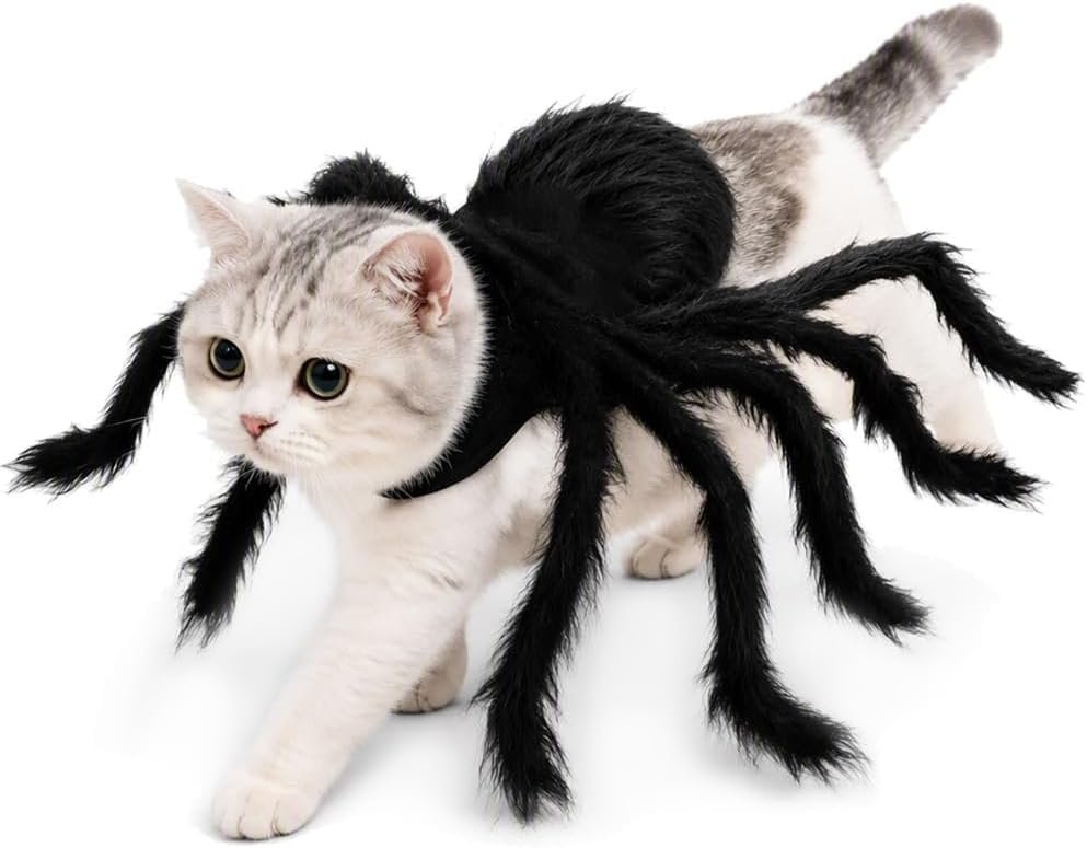 Halloween Spider Costume for Dogs &...