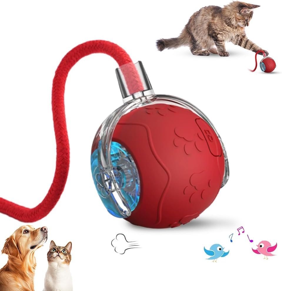 Interactive Cat Toy Ball, 2026 New ...