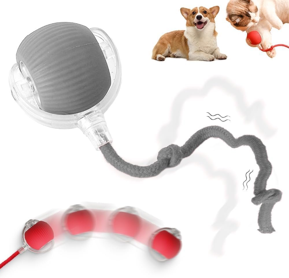 Interactive Rolling Dog Ball –...