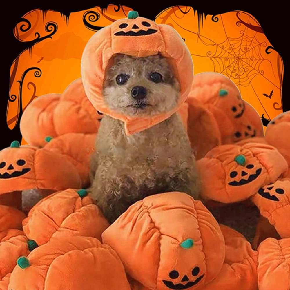 ANIAC Dog Halloween Hat Kitten Pumpkin Cap Puppy Party Cosplay Dress Cat Pumpkin Costume Funny Pet Headgear Festival Head Accessory for Cat and Small Dogs (Small) - Image 3