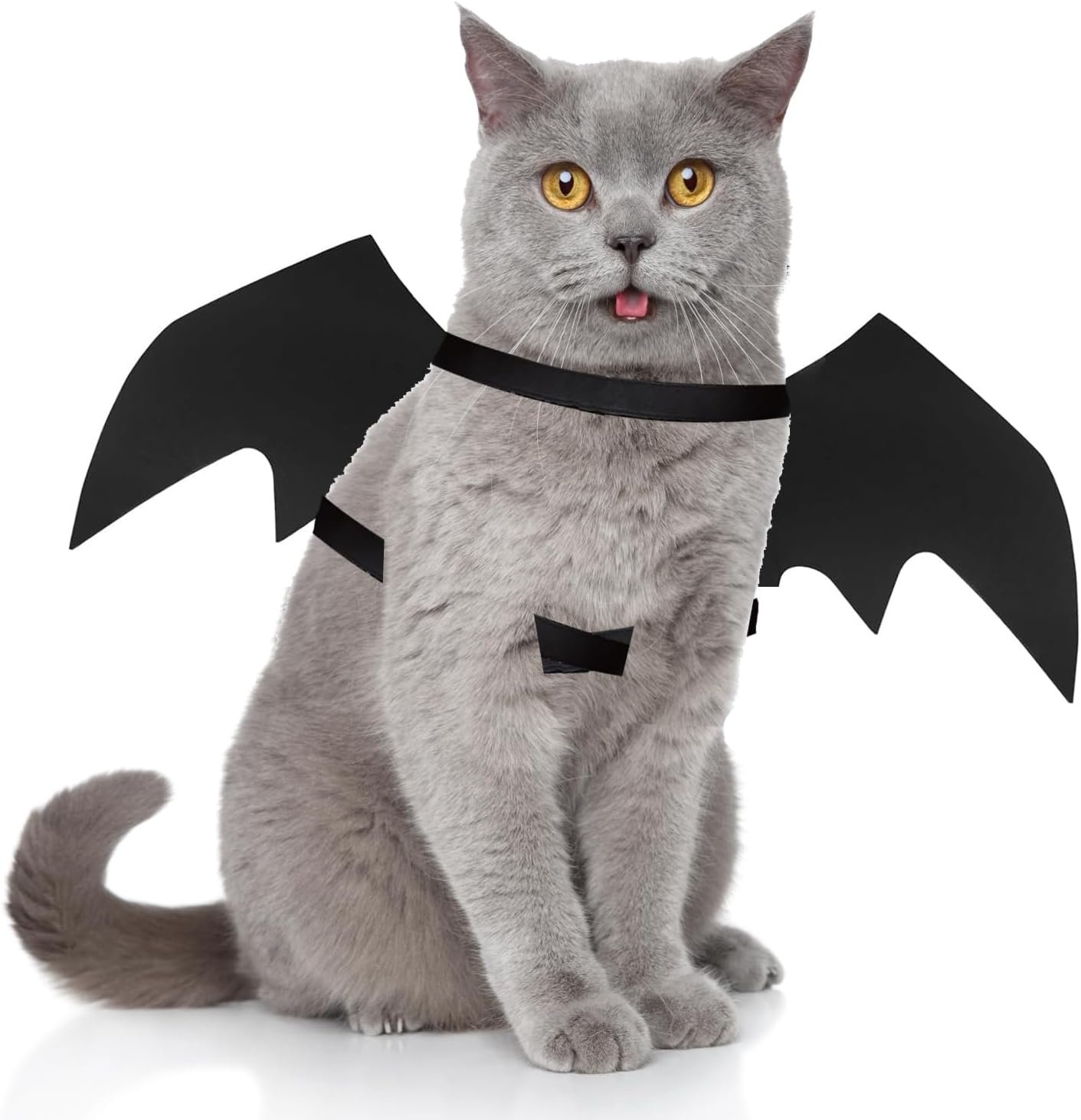 Pet Cat Bat Wings for Halloween Par...