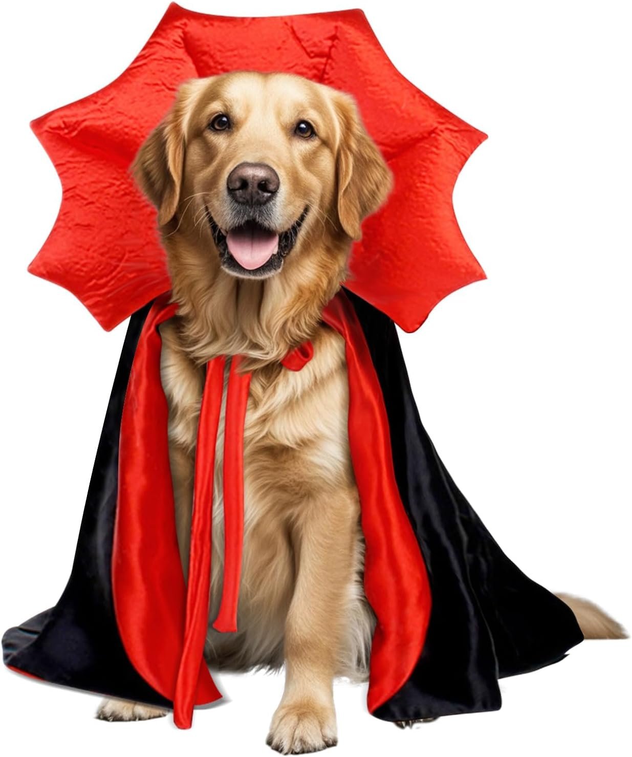 Golden Retriever Halloween Costume,...