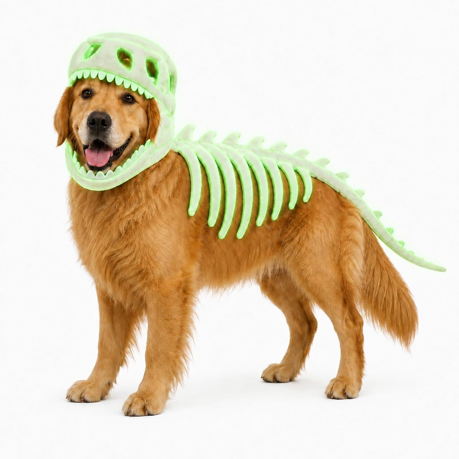 Dog Dinosaur Costume, Dog Halloween...