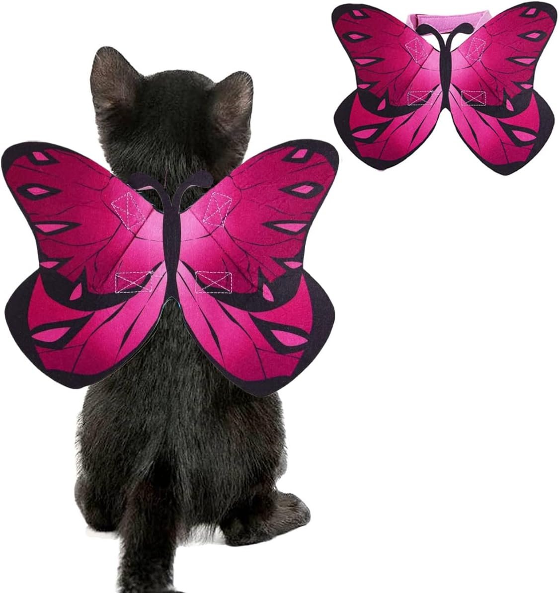 Pet Cat Bat Wings for Halloween Par...
